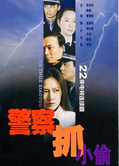 警察抓小偷（2004年张国庆执导的电视剧）