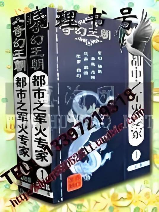 都市之军火专家