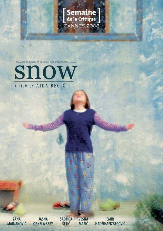 初雪（2008年波黑德国法国伊朗电影）