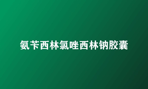 氨苄西林氯唑西林钠胶囊