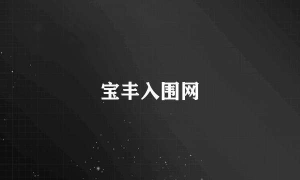 宝丰入围网