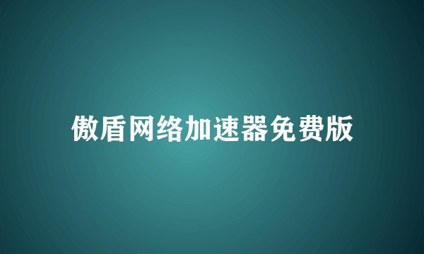 傲盾网络加速器免费版