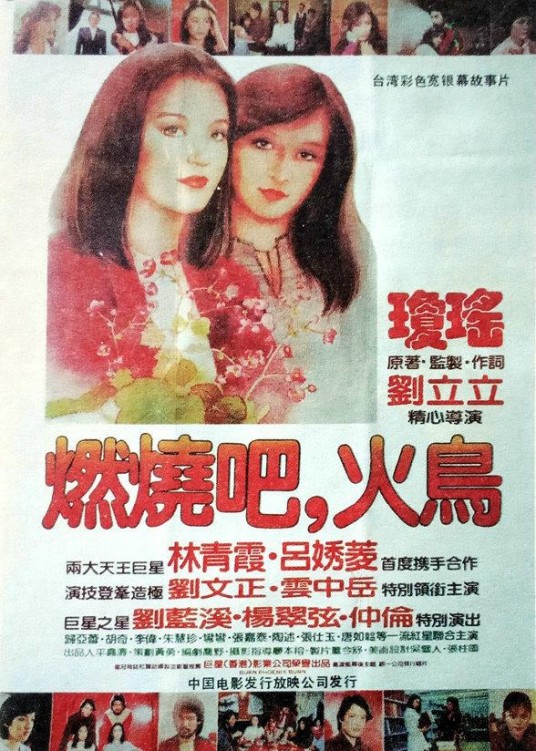 燃烧吧,火鸟(1982年刘立立执导,林青霞、吕秀菱主演电影)