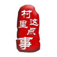 村里这点事
