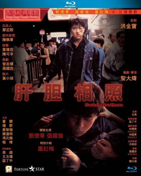 肝胆相照(1987年黎大炜执导的电影)