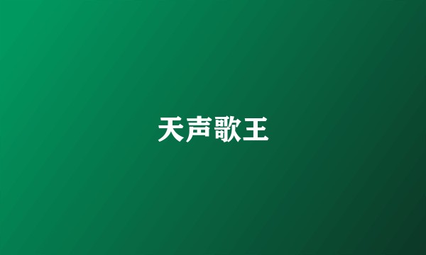 天声歌王