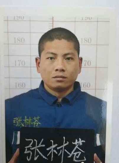 张林苍