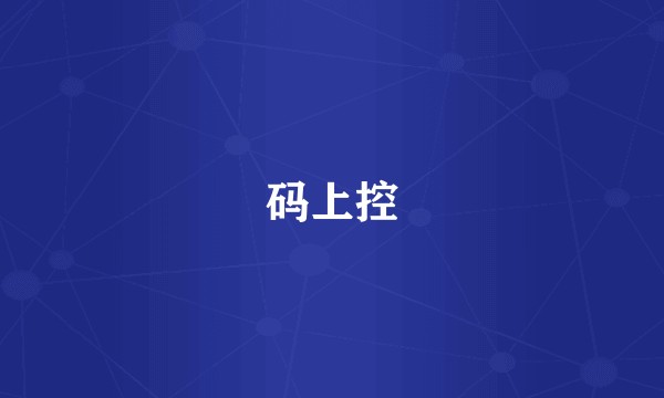码上控