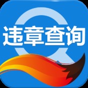 搜狐违章查询