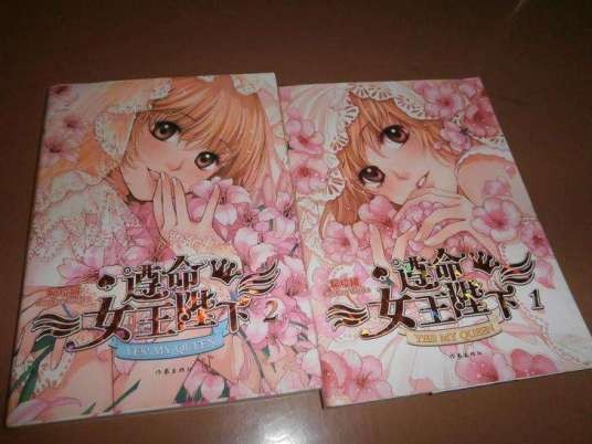 遵命女王陛下（易拉罐创作的小说）
