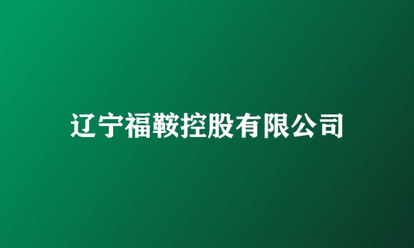 辽宁福鞍控股有限公司