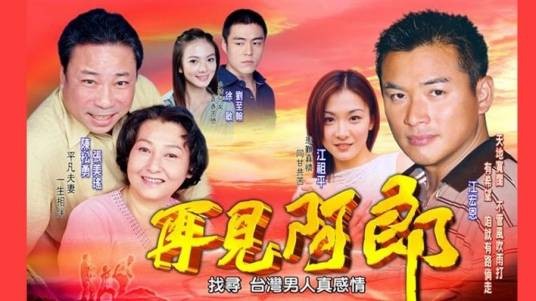 再见阿郎（2003年李岳峰执导的家庭爱情剧）