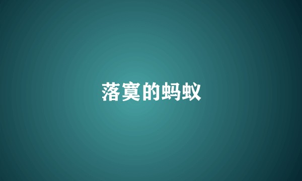 落寞的蚂蚁