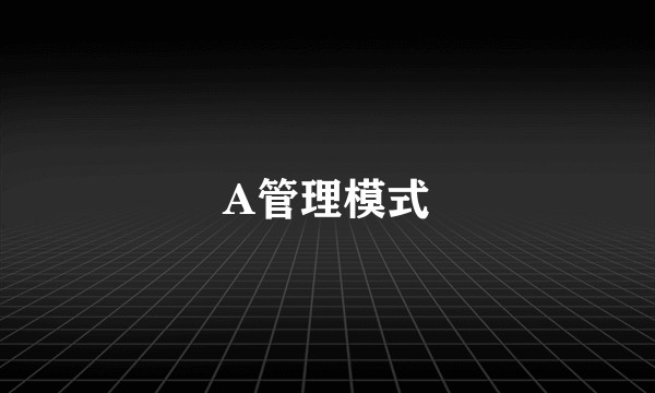A管理模式