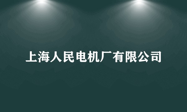 上海人民电机厂有限公司