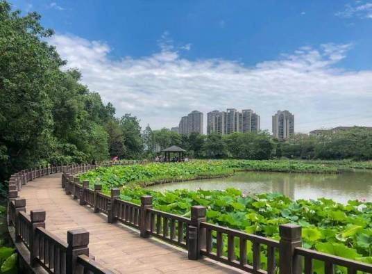 福州金山公园