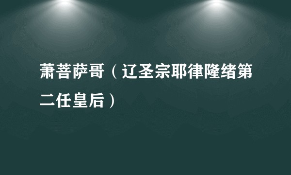 萧菩萨哥（辽圣宗耶律隆绪第二任皇后）
