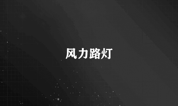 风力路灯