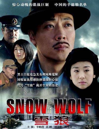 雪狼(2007年刘江执导电视剧)