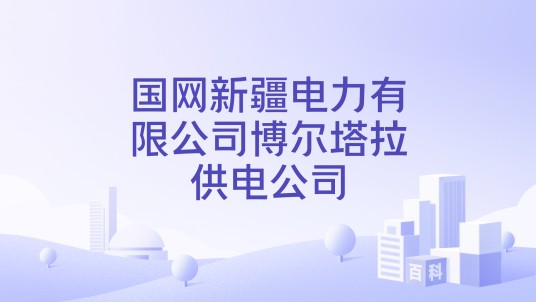 国网新疆电力有限公司博尔塔拉供电公司
