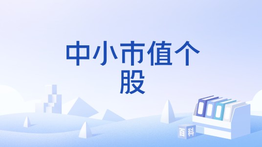中小市值个股