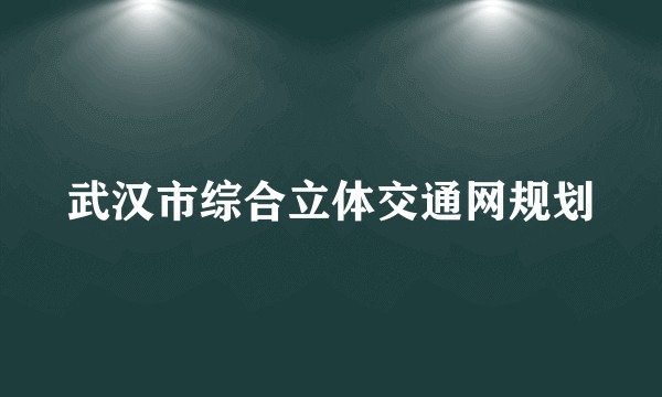 武汉市综合立体交通网规划