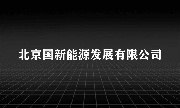 北京国新能源发展有限公司