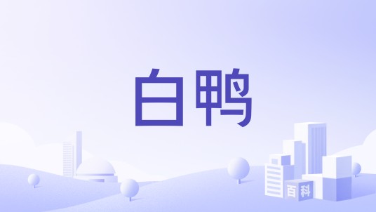 白鸭(中华老字号品牌)
