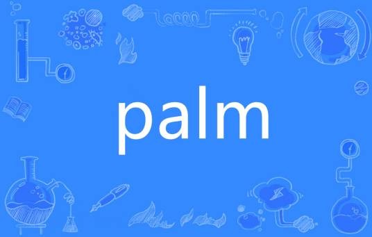 PALM（英语单词）