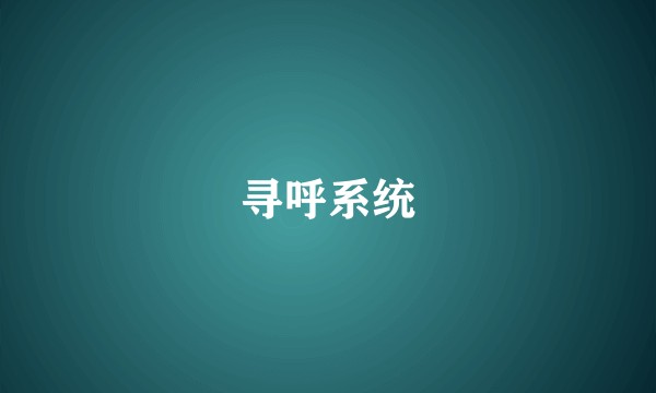 寻呼系统