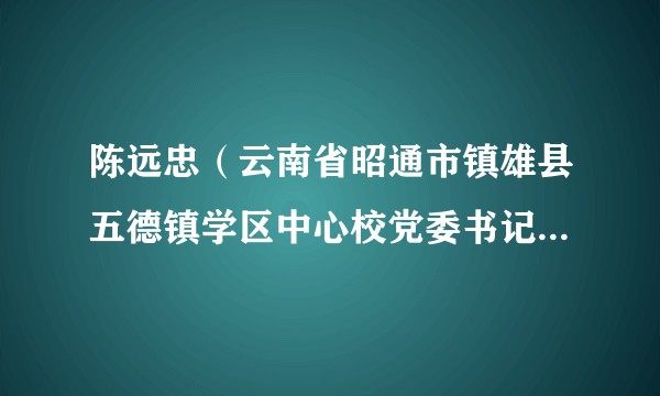 陈远忠（云南省昭通市镇雄县五德镇学区中心校党委书记、校长）