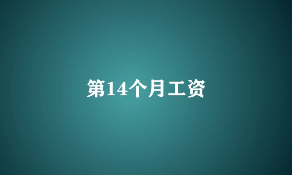 第14个月工资