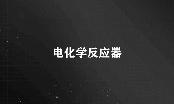电化学反应器