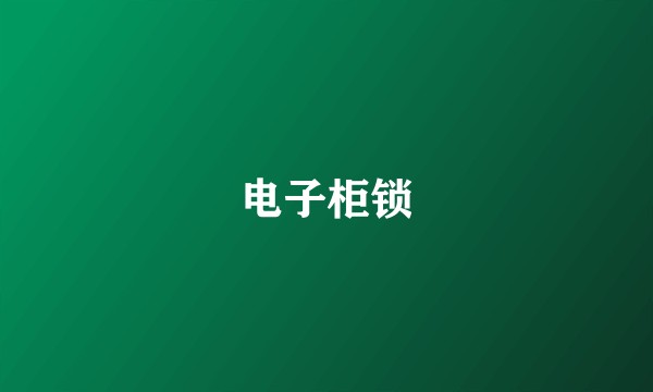 电子柜锁