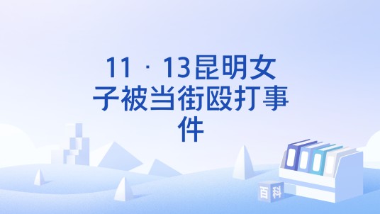 11·13昆明女子被当街殴打事件