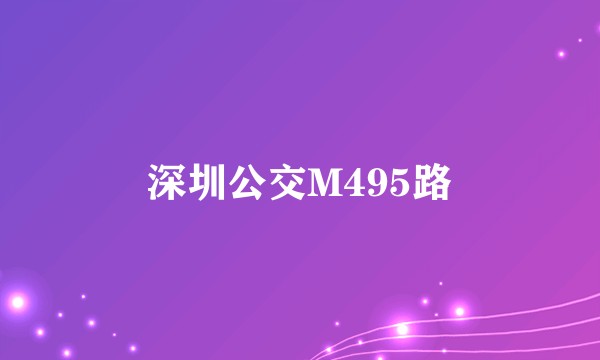 深圳公交M495路