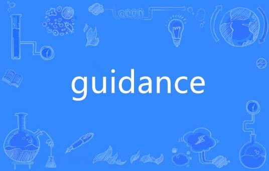 Guidance（英语单词）