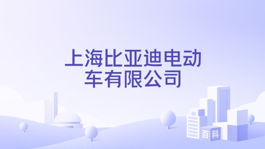 上海比亚迪电动车有限公司