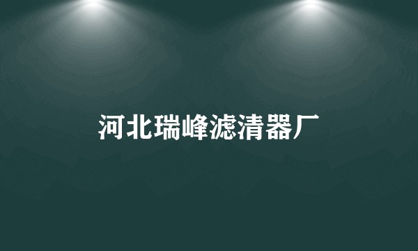 河北瑞峰滤清器厂