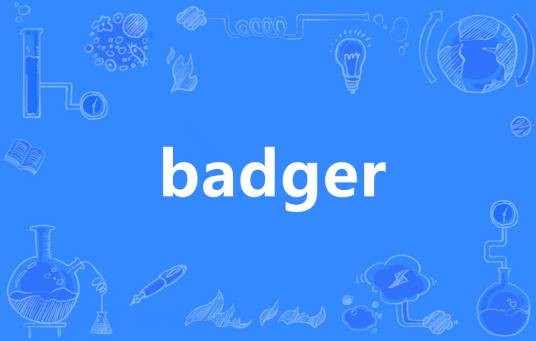 BADGER（英语单词）
