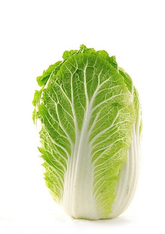 夏邑白菜