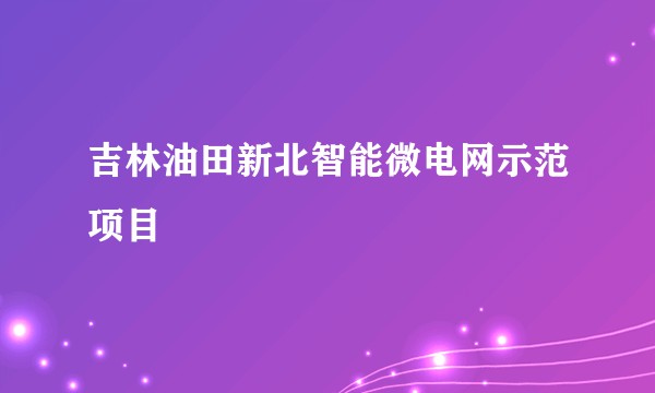 吉林油田新北智能微电网示范项目