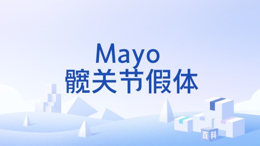 Mayo 髋关节假体