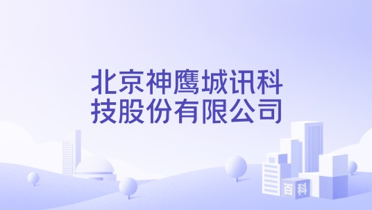 北京神鹰城讯科技股份有限公司