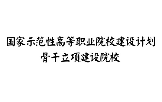 “国家示范性高等职业院校建设计划”骨干高职院校