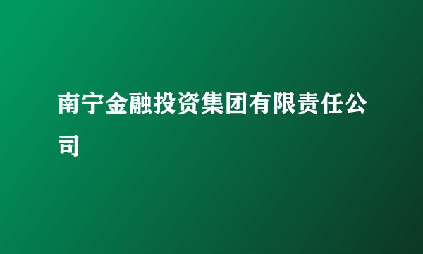 南宁金融投资集团有限责任公司