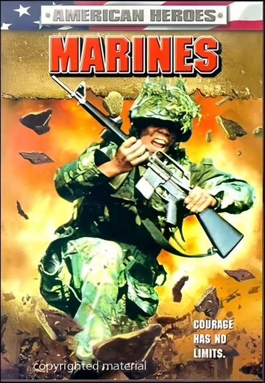 联合打击
