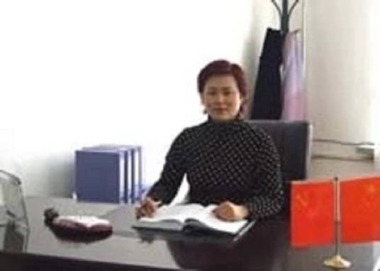 宋辉（中国鞍山师范学院高职院院长）