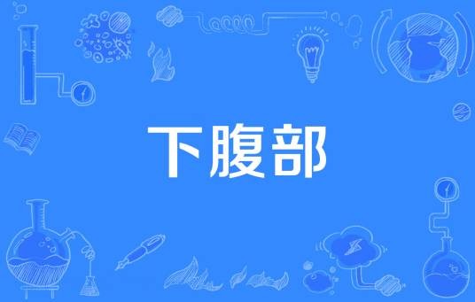 下腹部