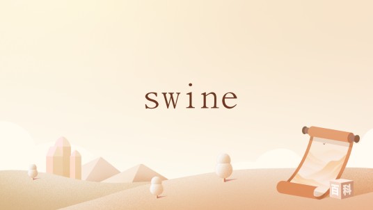 swine（英语单词）